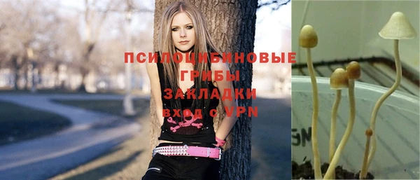 ешки Нея