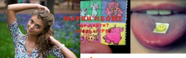 стафф Арсеньев